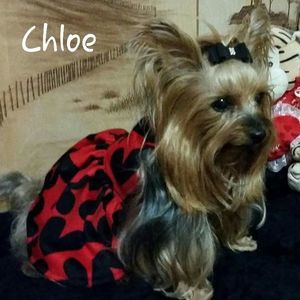 Meet your Posher, Debra